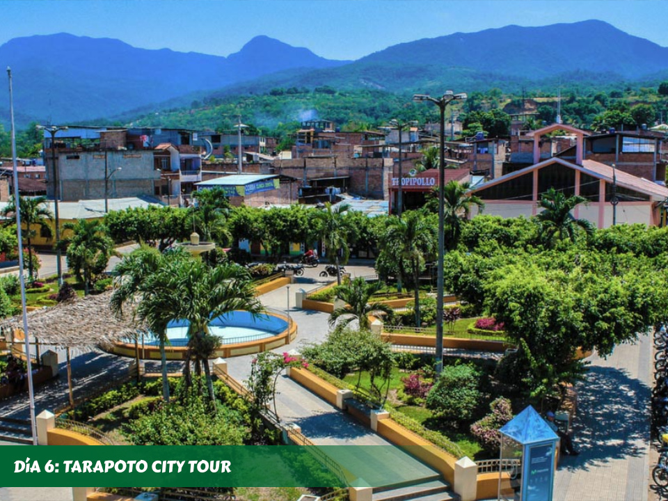 D6 -TARAPOTO TOUR