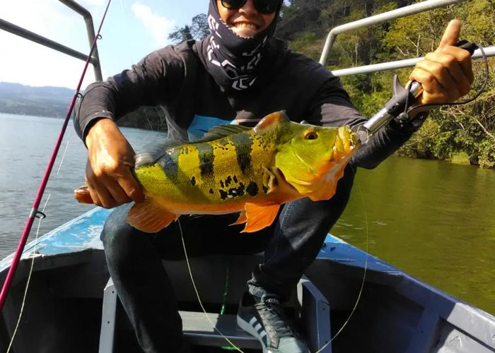 41334458_1099700650182768_7091309640729755648_n