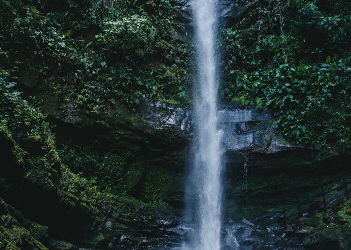 868A6241-Editar OPTI