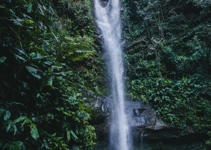 868A6285-Editar OPTI