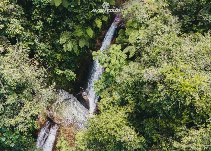 DJI_20250809003351_0499_D OPTI