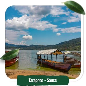 Tarapoto Sauce